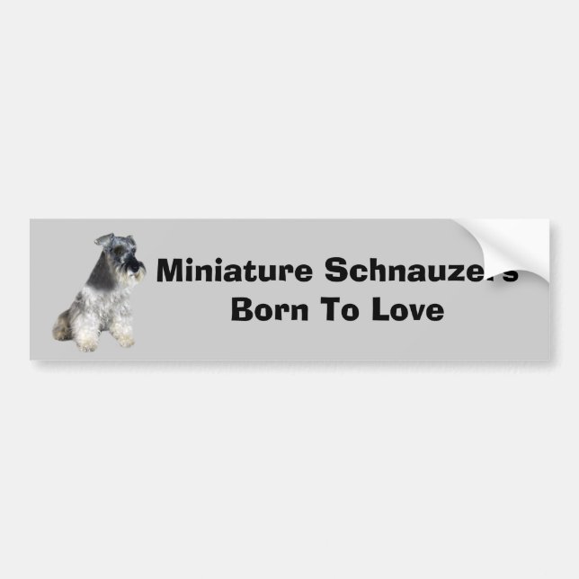 MiniatyrSchnauzerbildekal Bildekal (Framsidan)