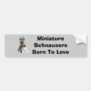 MiniatyrSchnauzerbildekal Bildekal