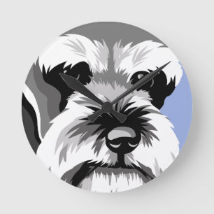 Miniatyrschnauzeren tar tid på rund klocka