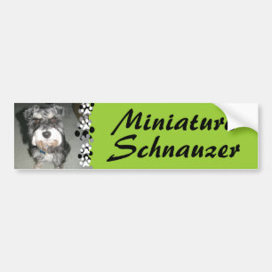 MiniatyrSchnauzerfoto Bildekal
