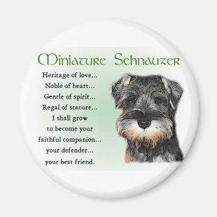 MiniatyrSchnauzergåvor Magnet