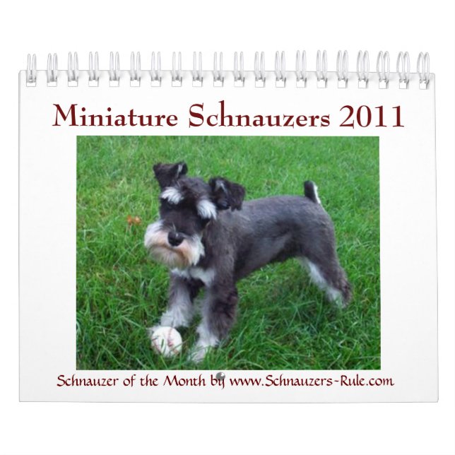 MiniatyrSchnauzerkalender 2016 Kalender (Omslag)
