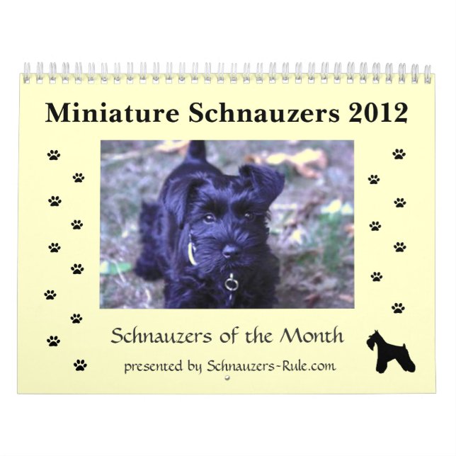 MiniatyrSchnauzerkalender Kalender (Omslag)