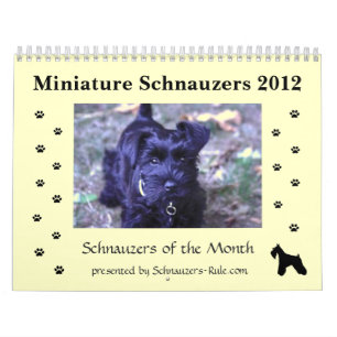 MiniatyrSchnauzerkalender Kalender