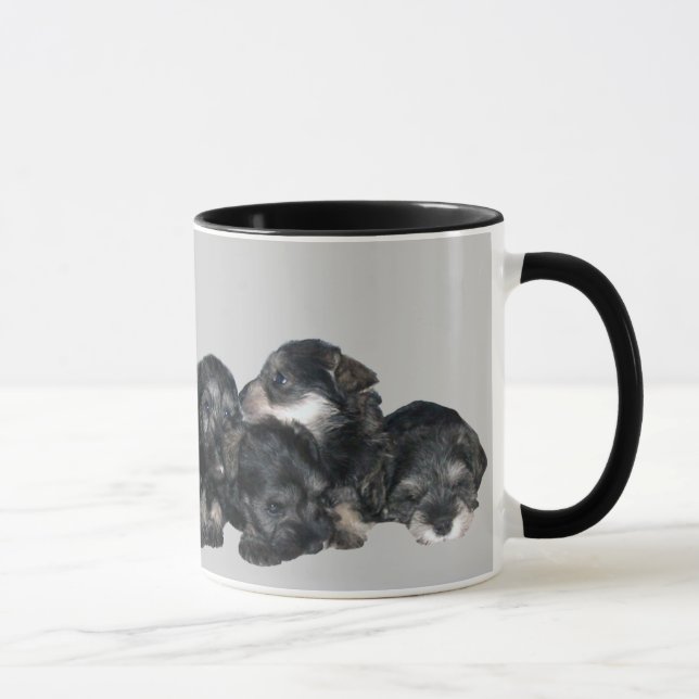MiniatyrSchnauzermugg Mugg (Höger)