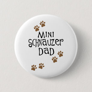 MiniatyrSchnauzerpappa Knapp