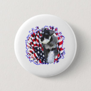 MiniatyrSchnauzerpatriot Knapp