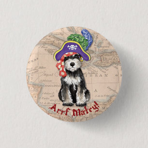 MiniatyrSchnauzerpirat Knapp