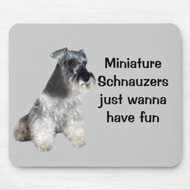 MiniatyrSchnauzers önskar precis att ha roliga Musmatta (Framsidan)