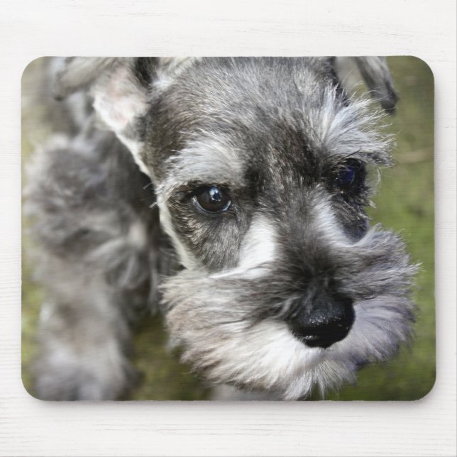 MiniatyrSchnauzervalp Mousepad Musmatta (Framsidan)