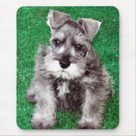 MiniatyrSchnauzervalp Mousepad Musmatta