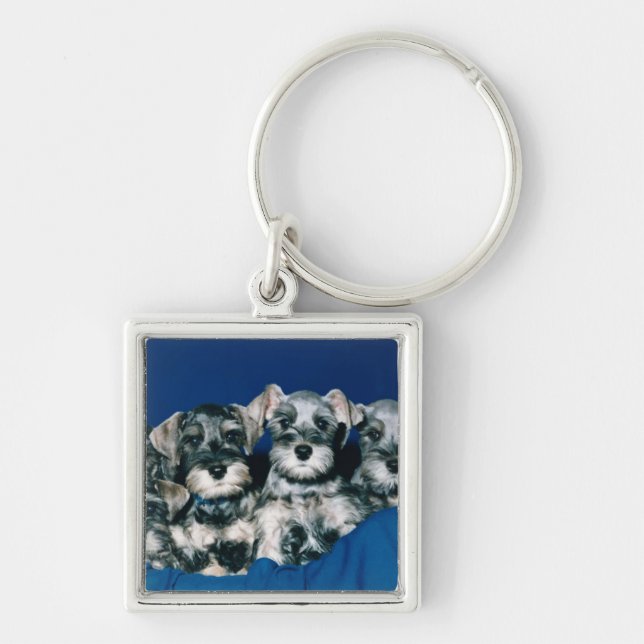 MiniatyrSchnauzervalpar Fyrkantig Silverfärgad Nyckelring (Framsidan)