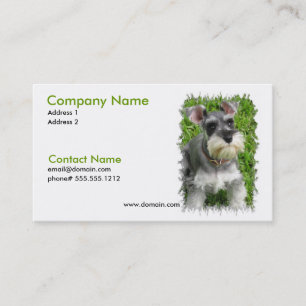 MiniatyrSchnauzervisitkort Visitkort