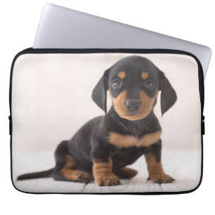 Miniatyrtaxsitta Laptop Sleeve