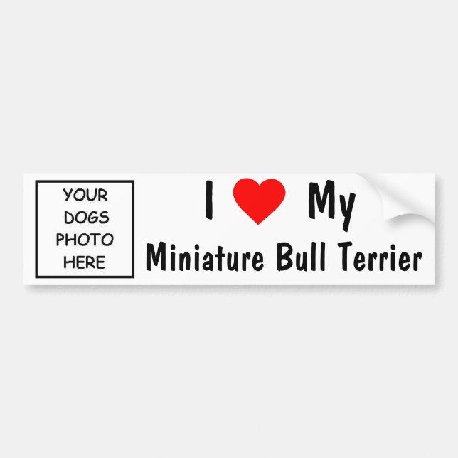 MiniatyrtjurTerrier Bildekal (Framsidan)