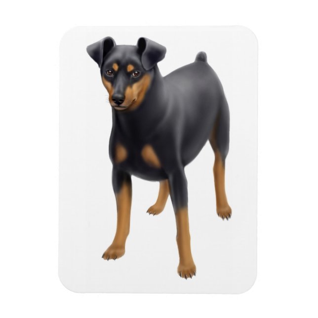 Minidator Pinscher Min Pin Premium Magnet (Vertikal)