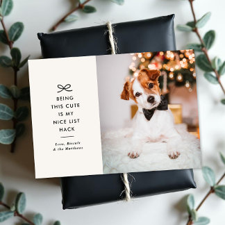 Minimal Bow Cute Saying Pet Christmas Photo Julkort