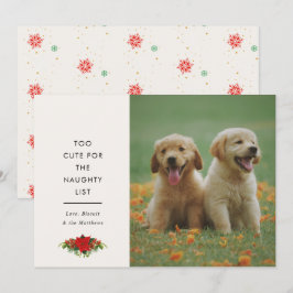 Minimal Cute Saying Pet Christmas Photo  Julkort