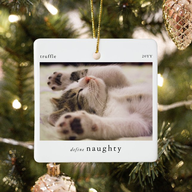 Minimal definition av Naughty Pet Photo Keepsak Julgransprydnad Keramik (Skapare uppladdad)