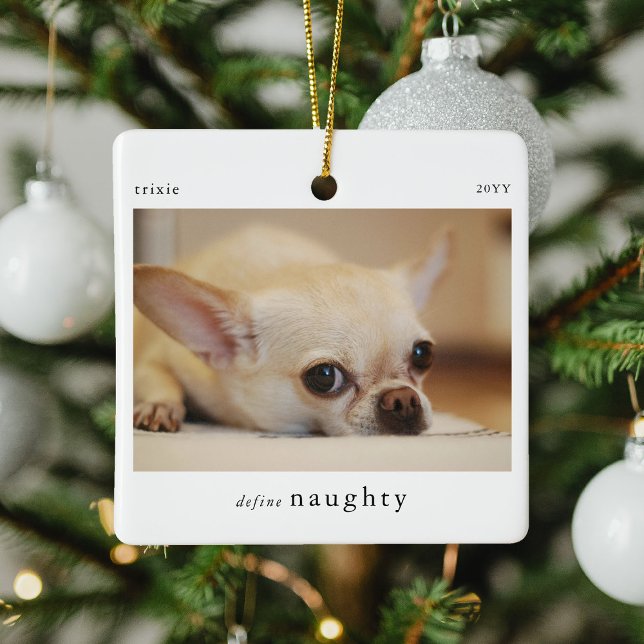 Minimal definition av Naughty Pet Photo Keepsak Julgransprydnad Keramik (Skapare uppladdad)