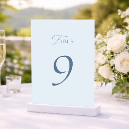 Minimal Dusty Blue Wedding Table Numbers 1–19 Tack Kort