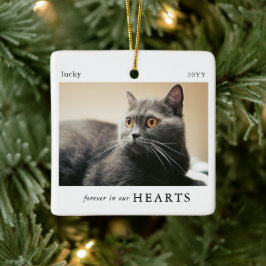 Minimal Forever i våra hjärtan Katt Foto Minnessak Julgransprydnad Keramik