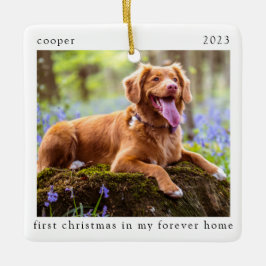 Minimal första jul i min andra Hund hemma Julgransprydnad Keramik