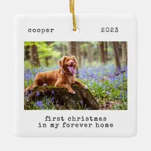 Minimal första jul i min andra Hund hemma Julgransprydnad Keramik