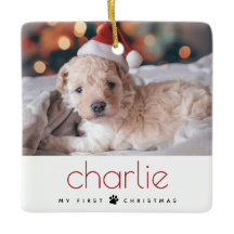 Minimal Modern Type Pets första julfoto