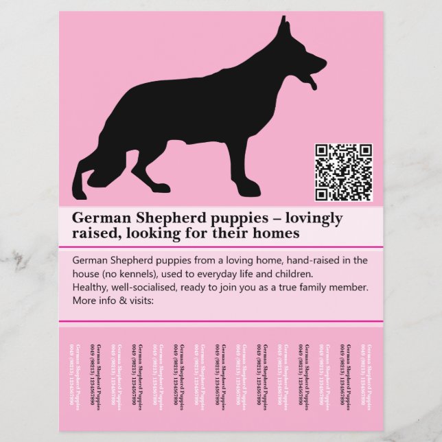Minimal personlig flygblad för vallhund (Framsidan)