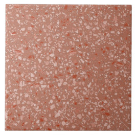 Minimal Rust Terracotta Terrazzo Stone Mönster Kakelplatta