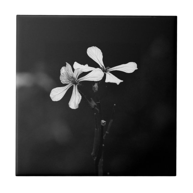 minimal svart och vit blom- kakelplatta (Framsidan)