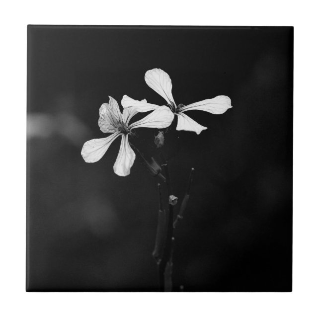 minimal svart och vit blom- kakelplatta (Framsidan)