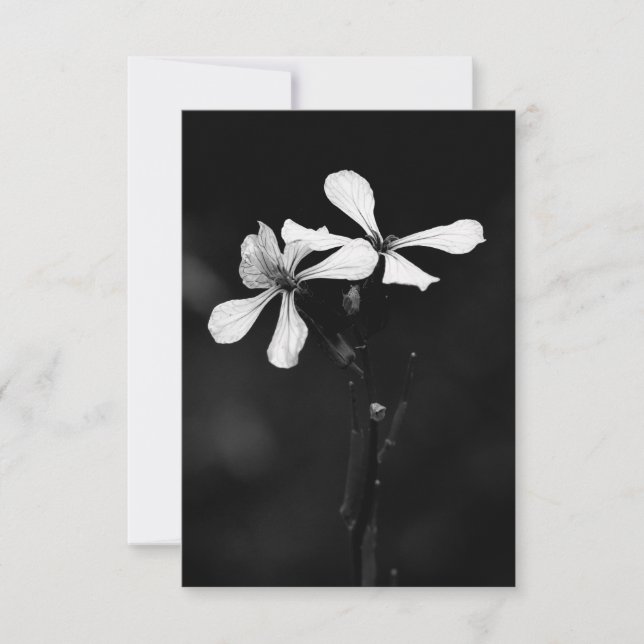 minimal svartvit blommigt (Framsida)