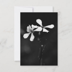 minimal svartvit blommigt