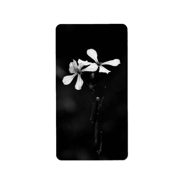 minimal svartvit blommigt adressetikett (Framsidan)