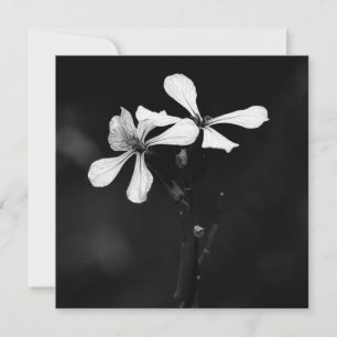 minimal svartvit blommigt anteckningskort