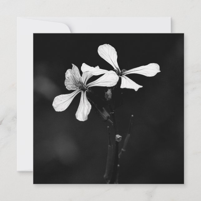 minimal svartvit blommigt anteckningskort (Framsida)