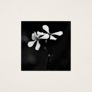 minimal svartvit blommigt fyrkantigt visitkort