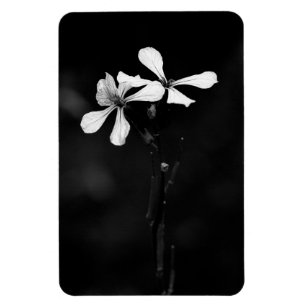 minimal svartvit blommigt magnet