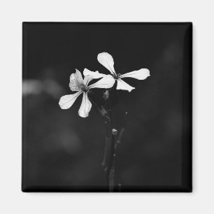 minimal svartvit blommigt magnet