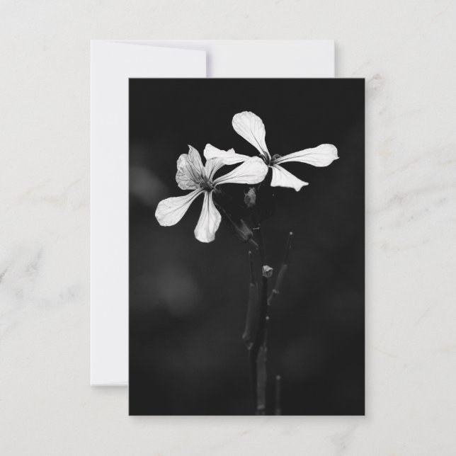 minimal svartvit blommigt OSA kort (Framsida)