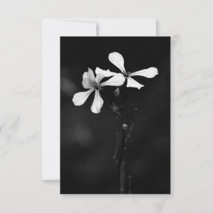 minimal svartvit blommigt OSA kort