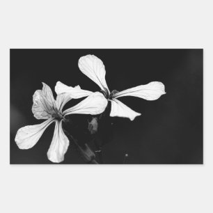 minimal svartvit blommigt rektangulärt klistermärke