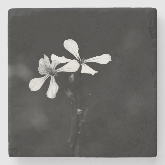 minimal svartvit blommigt stenunderlägg (Framsidan)