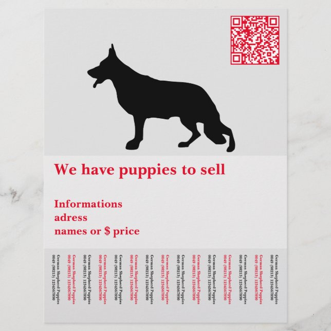 Minimal vallhund hund personlig reklamblad (Framsidan)