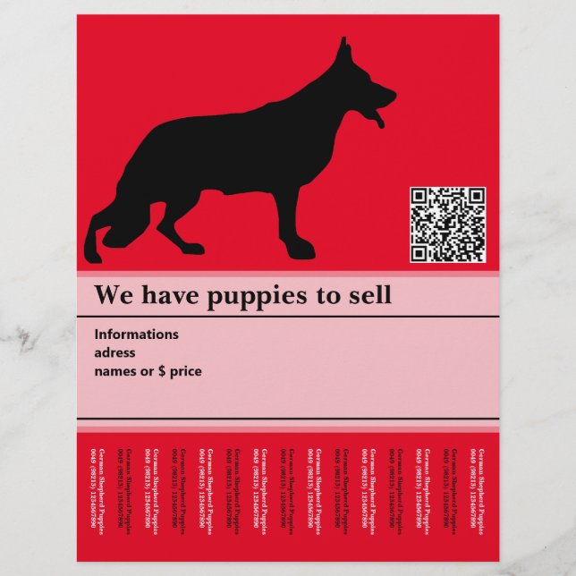 Minimal vallhund personlig folder reklamblad (Framsidan)