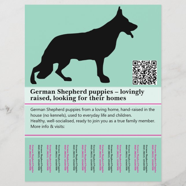 Minimal vallhundshund personlig flygblad (Framsidan)