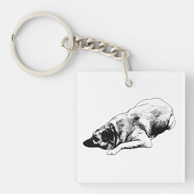Minimal vektorg Hund delar lugn på semesterresor (Framsidan)