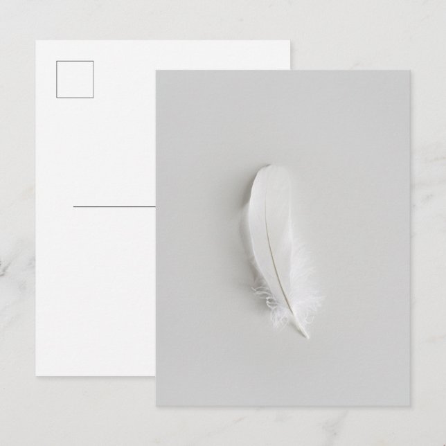 Minimal vit fjäder vykort (Fram/baksida)
